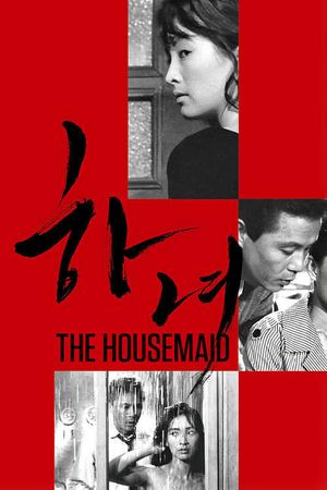 The Housemaid's poster