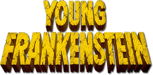 Young Frankenstein's poster