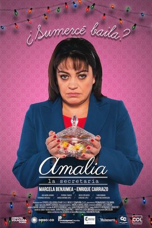 Amalia the Secretary's poster