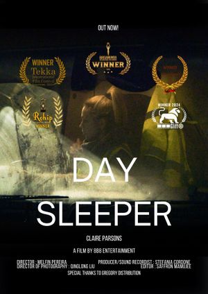 Day Sleeper's poster