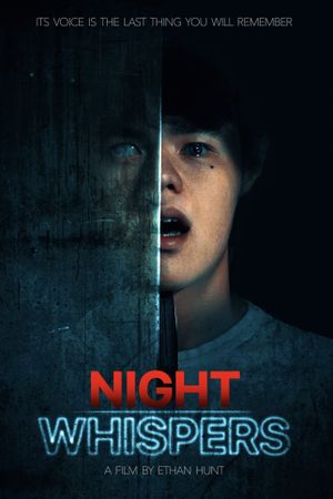 Night Whispers's poster