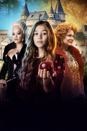 Wonderwell's poster