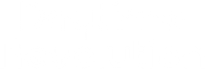 Daytime Revolution's poster