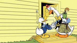 Donald's Cousin Gus's poster