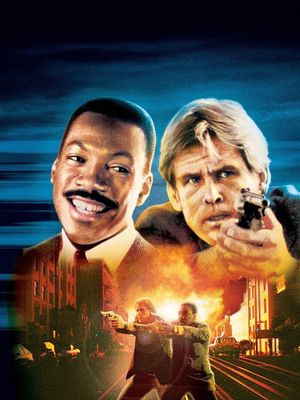 Another 48 Hrs.'s poster