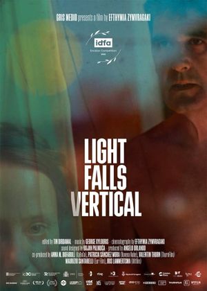 Light Falls Vertical's poster