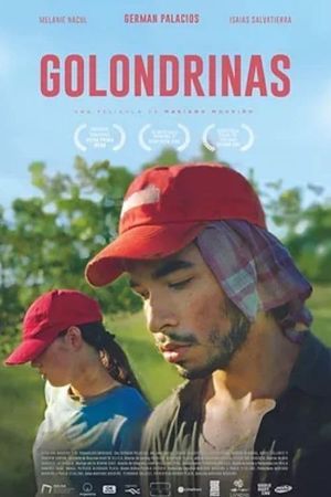 Golondrinas's poster