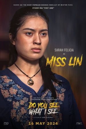 Do You See What I See's poster