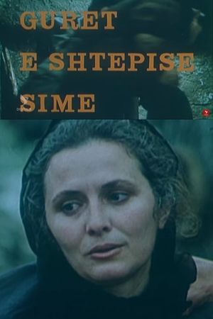 Gurët e shtëpisë sime's poster