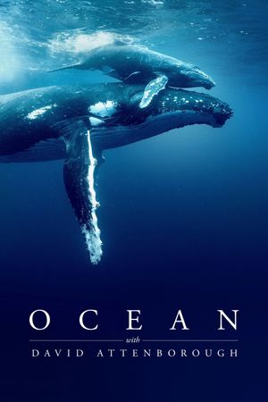 Ocean with David Attenborough's poster