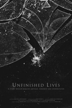 Unfinished Lives's poster