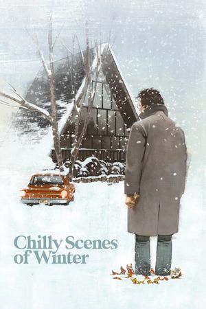Chilly Scenes of Winter's poster