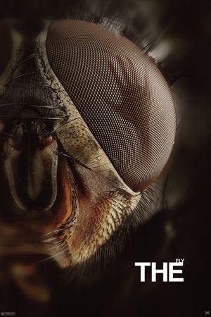 The Fly's poster