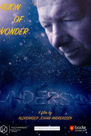 Vision of Wonder's poster