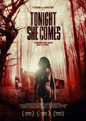 Tonight She Comes's poster