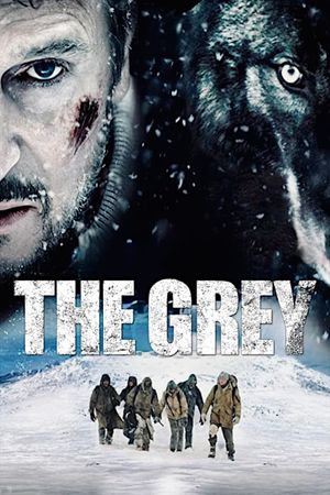 The Grey's poster