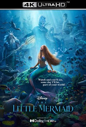 The Little Mermaid's poster