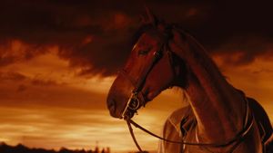 War Horse's poster