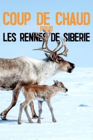 Heatstroke for the Siberian Reindeer's poster