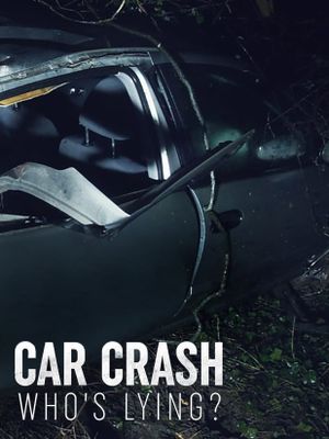 Car Crash: Who's Lying?'s poster