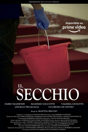 Il secchio's poster