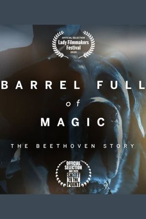 Barrel Full of Magic: The Beethoven Story's poster