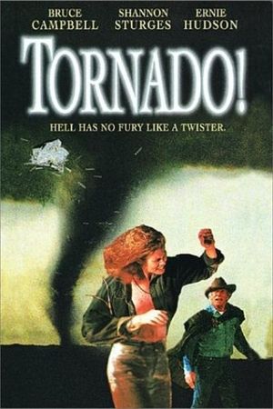 Tornado!'s poster