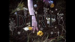 Dirt's poster