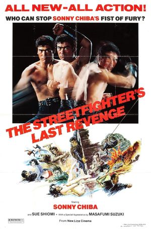 The Street Fighter's Last Revenge's poster