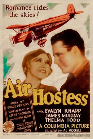 Air Hostess's poster