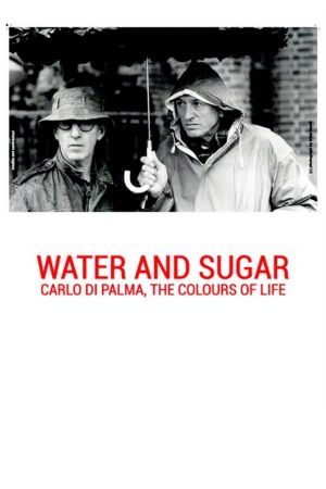 Water and Sugar's poster