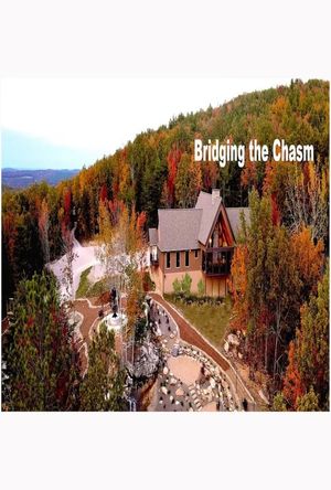 Bridging the Chasm's poster image