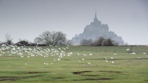 Mont Saint-Michel: The Enigmatic Labyrinth's poster