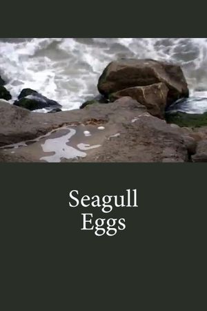 Seagull Eggs's poster