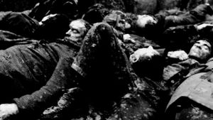 Soldiers of Salamina's poster