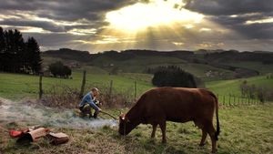 One Man and His Cow's poster