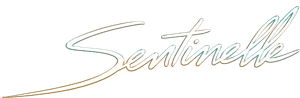 Sentinelle's poster