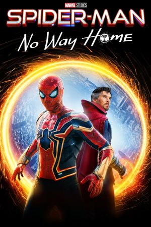 Spider-Man: No Way Home's poster