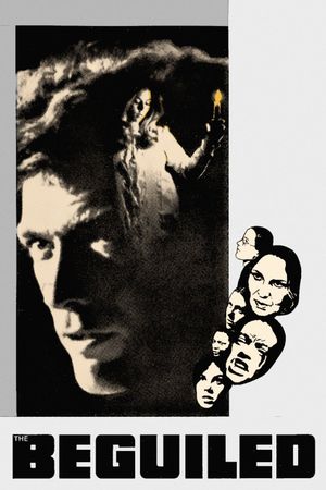 The Beguiled's poster