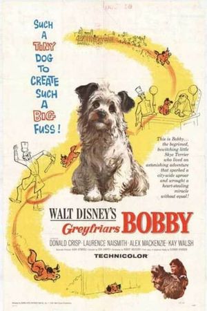 The Adventures of Greyfriars Bobby's poster