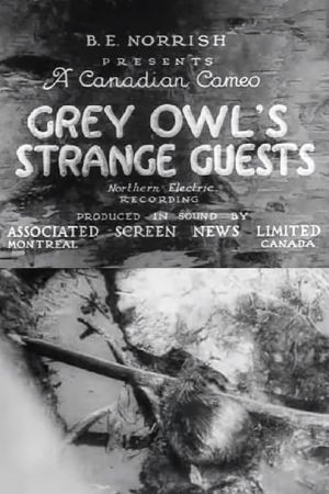 Grey Owl's Strange Guests's poster