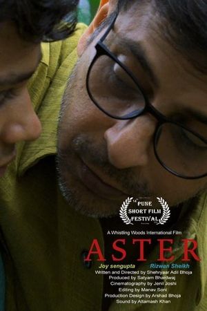 Aster's poster image