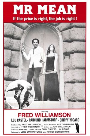 Mr. Mean's poster