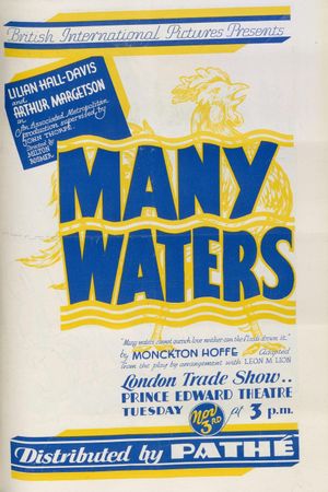 Many Waters's poster