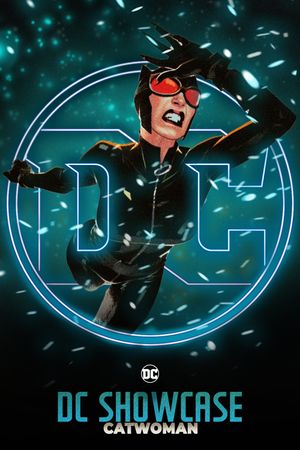 DC Showcase: Catwoman's poster