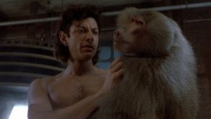 The Fly's poster