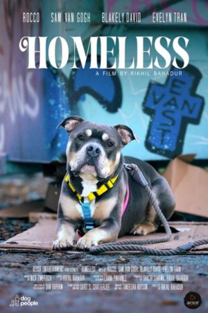 Homeless's poster