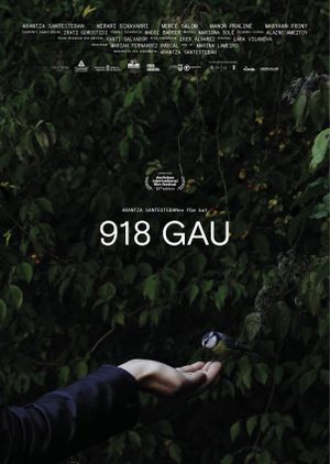 918 Nights's poster