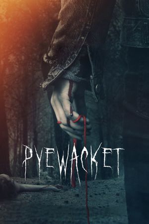 Pyewacket's poster