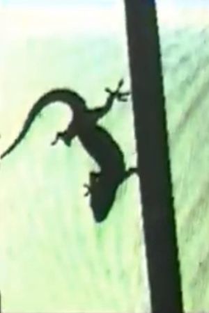 Lizard, or How to Perform in Front of the Reptile's poster